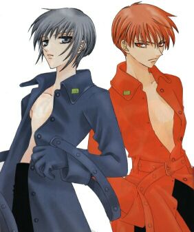 Fruits Basket - 