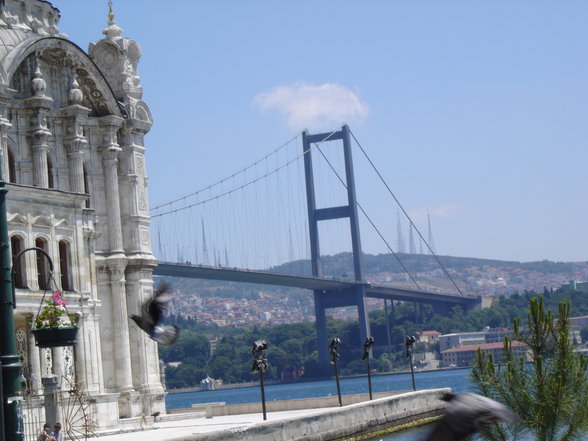 The City of the Citys ISTANBUL - 