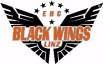 EHC BLACK WINGS - 