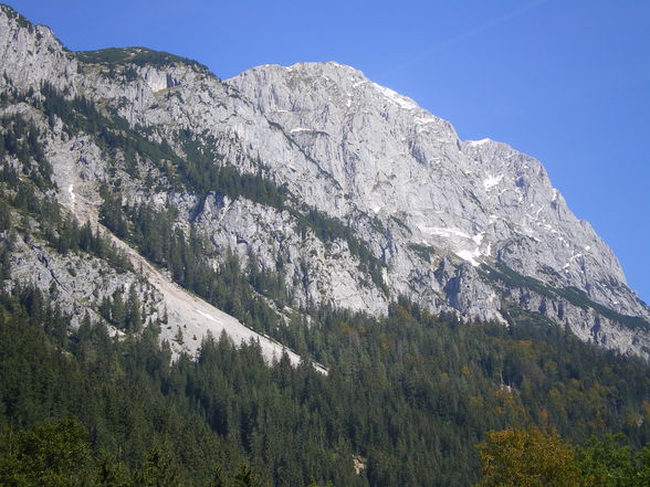 Auf der Alm - 