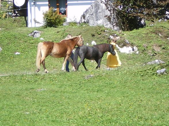 Auf der Alm - 