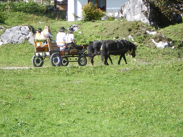 Auf der Alm - 