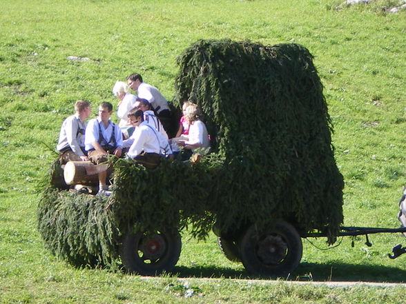 Auf der Alm - 