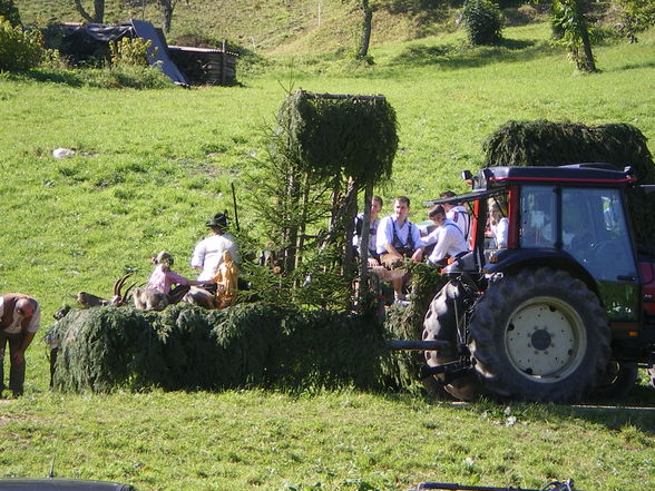 Auf der Alm - 