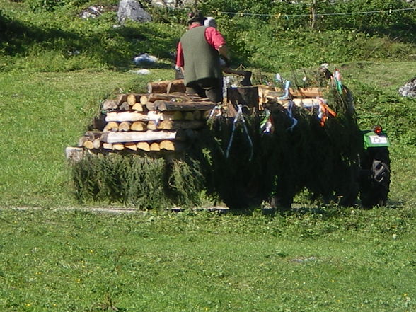 Auf der Alm - 