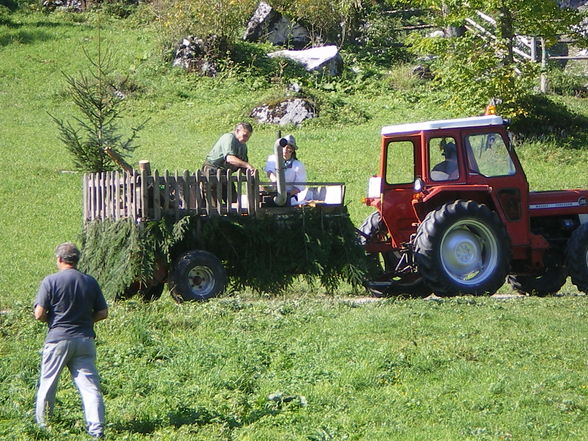 Auf der Alm - 