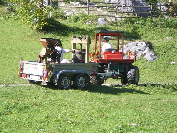 Auf der Alm - 