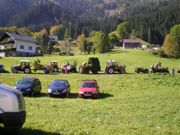 Auf der Alm - 