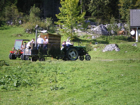 Auf der Alm - 