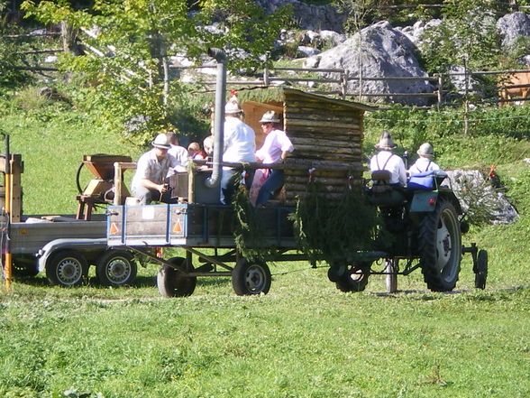 Auf der Alm - 