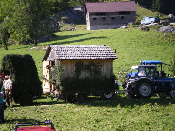 Auf der Alm - 