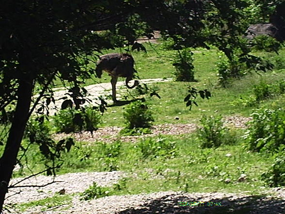 Unterwegs im Schmidinger Zoo - 