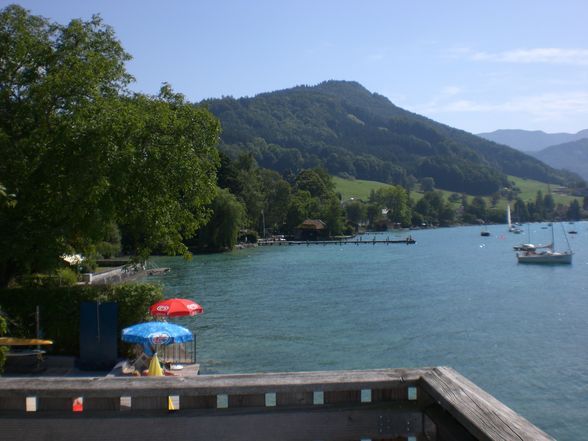 Praktikum am Attersee - 