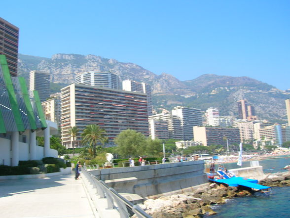 MONACO Divers - 