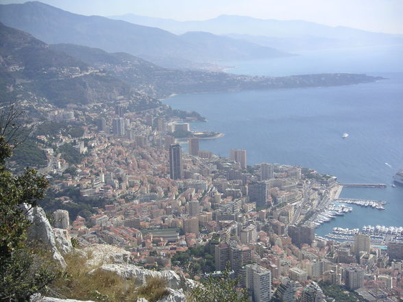 MONACO Divers - 