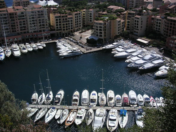 MONACO Divers - 