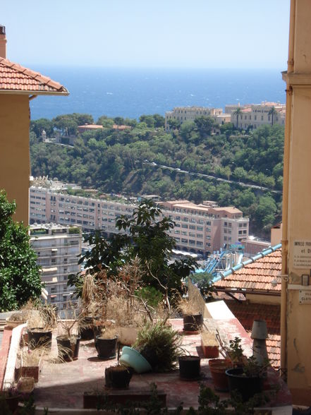 MONACO Divers - 