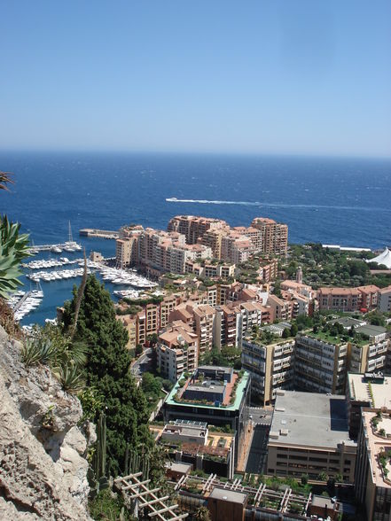 MONACO Divers - 