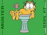 Garfield fens - 