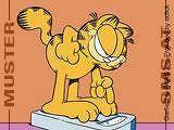 Garfield fens - 