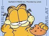 Garfield fens - 