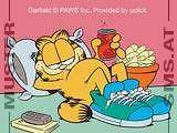 Garfield fens - 