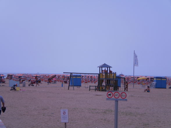 * BIBIONE * - 