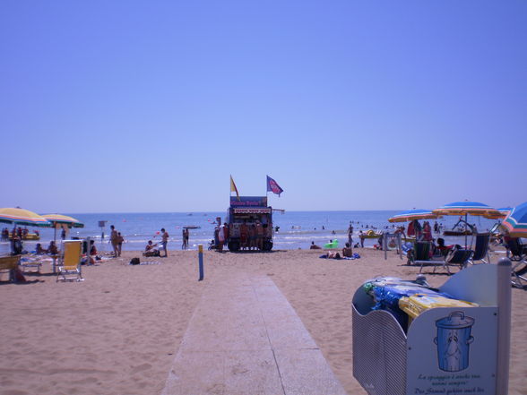 * BIBIONE * - 