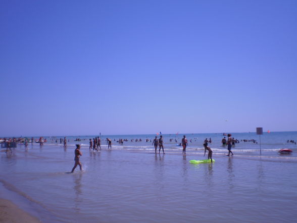 * BIBIONE * - 