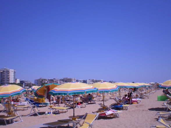 * BIBIONE * - 