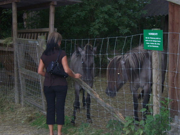 Tiergarten Haag - 