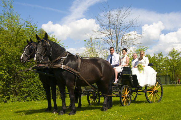 meine Hochzeit - 