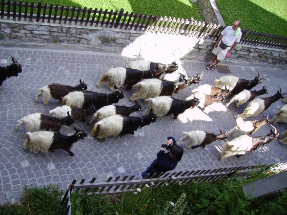 Switzerläääänd - Zermatt - 