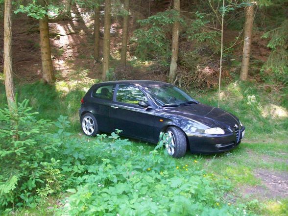 mein Alfa 147 - 