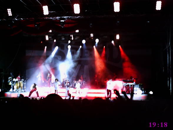 THIS IS SEEED in CONCERT - 