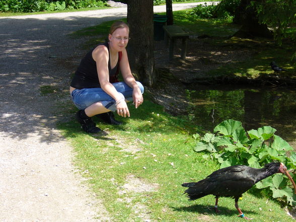 Ausflug in den Wildpark Grünau - 