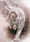 Tiger und Leopad - 