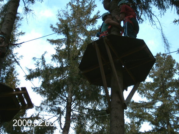 Mit den Volleys im Hochseilgarten - 