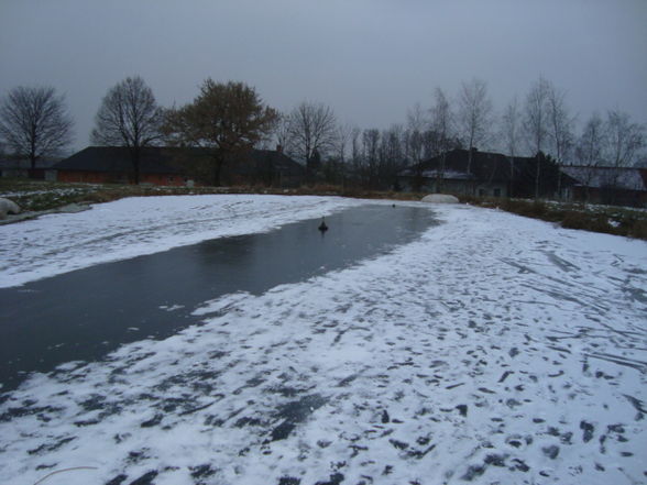 Eisstockschießen und Kegel - 