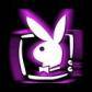 playboy - 