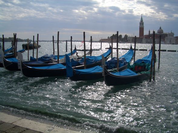 FF Ausflug nach Venedig 2008 - 