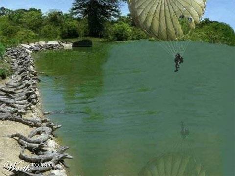 Funny Pics!! - 