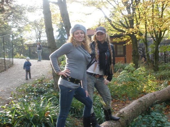 tierpark schmiding :) 19.10.08 - 