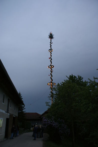 Maibaum stellen - 