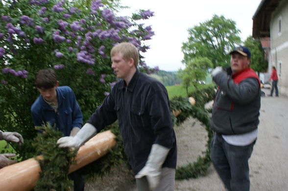 Maibaum stellen - 