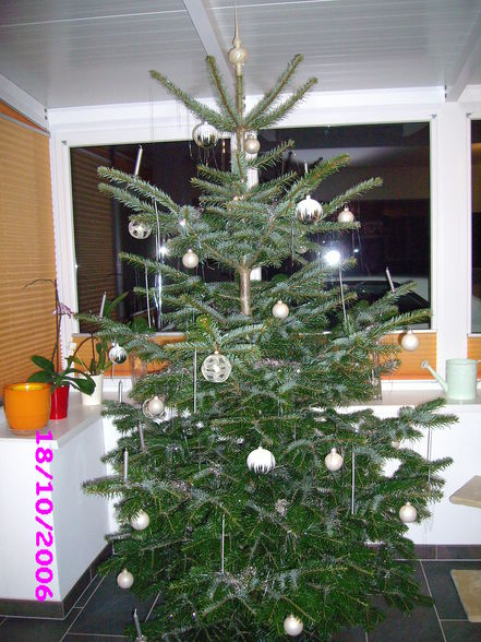 Merry Christmas 2010 - 