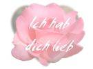 irgendweche sochan - 