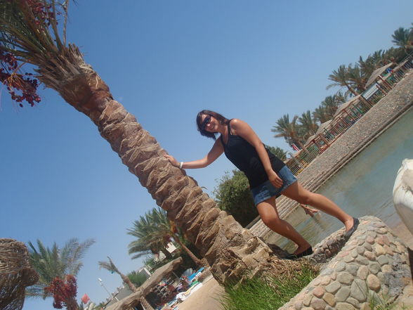 Urlaub Hurghada 2009 - 