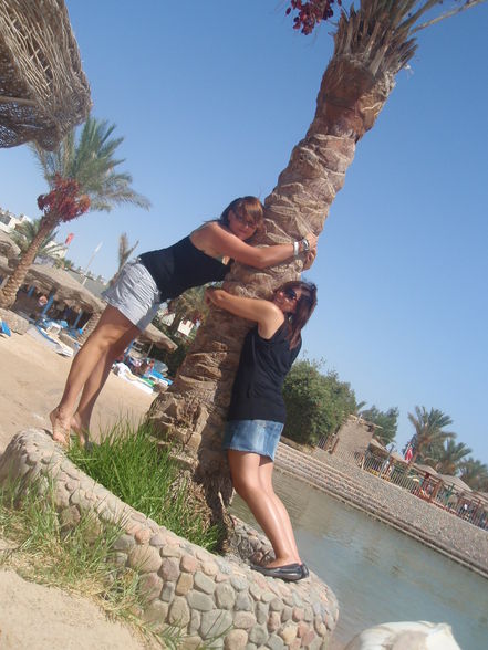 Urlaub Hurghada 2009 - 