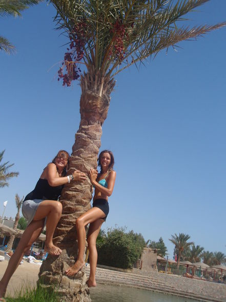 Urlaub Hurghada 2009 - 